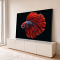 Peixe betta halfmoon vermelho com nadadeiras longas e escamas azuis em fundo preto, quadro decorativo