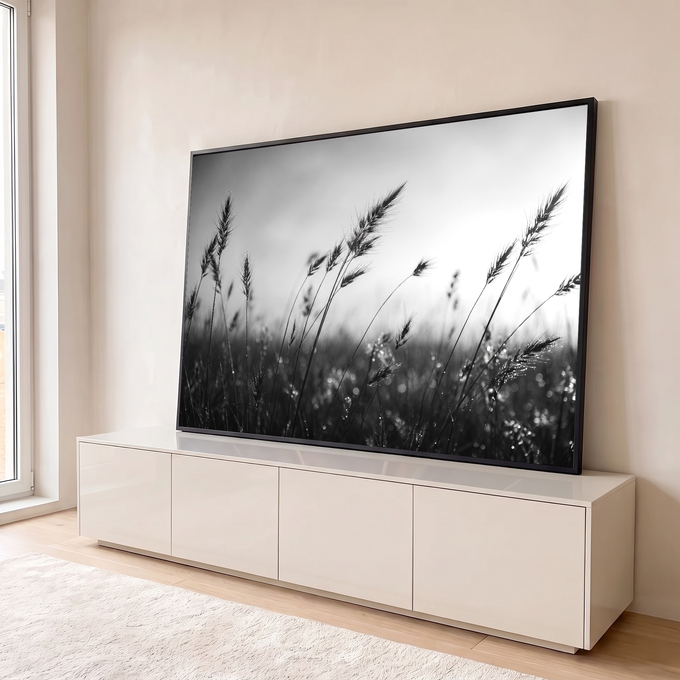 Fotografia preto e branco de capim silvestre balançando ao vento com gotas de orvalho, quadro decorativo