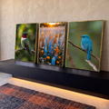 Quadro Decorativo Kit 3 Telas Beija-Flor Campo para Sala | quadros decorativos para sala | beija-flor, campo de flores coloridas e pássaro azul em três painéis naturais | em Quadros para Sala | Porao dos Quadros