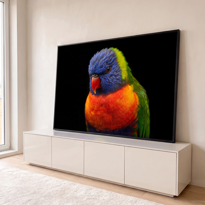 Lóris-arco-íris em close com cabeça azul, bico vermelho e peito laranja sobre fundo preto, quadro decorativo