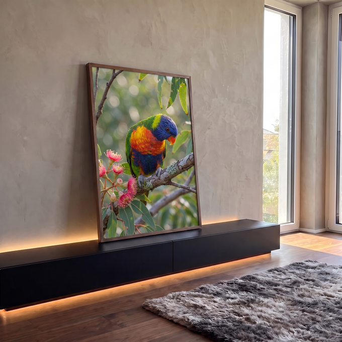 Pássaro lóris pousado em galho de eucalipto com flores rosa e fundo verde desfocado, quadro decorativo