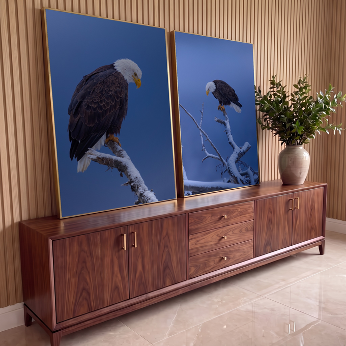 Quadro Decorativo Kit 2 Telas Águia Americana para Sala Azul | quadros decorativos para sala | duas fotos de águia de cabeça branca pousada em galho nevado contra céu azul | em Quadros para Sala | Porao dos Quadros