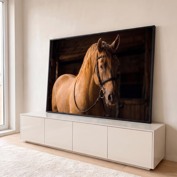 Cavalo palomino de crina dourada com rédea de couro preto em estábulo escuro, quadro decorativo
