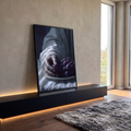 Quadro Decorativo Grande Mão Colhendo Uvas para Sala Branco | quadros decorativos para sala | mão alcançando prato de uvas roxas com manto branco e fundo escuro | em Quadros para Sala | Porao dos Quadros
