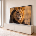Quadro Decorativo Grande Leão com Juba Olhos Âmbar para Sala | quadros decorativos para sala | leão de juba dourada olhando fixamente, retrato em close-up com fundo desfocado | em Quadros para Sala | Porao dos Quadros