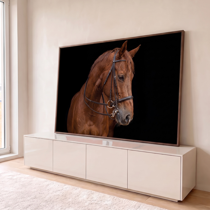 Cavalo castanho com cabeçada de couro e freio em fundo preto, fotografia de estúdio, quadro decorativo
