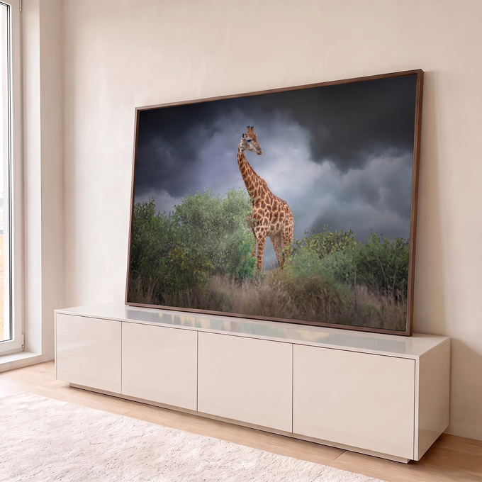 Girafa entre arbustos verdes sob céu cinza de tempestade na savana africana, fotografia, quadro decorativo