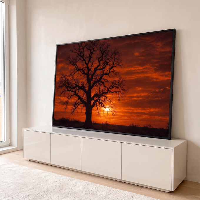 Quadro Decorativo Grande Árvore Silhueta Laranja para Sala | quadros decorativos para sala | árvore sem folhas em silhueta contra céu laranja de pôr do sol | em Quadros para Sala | Porao dos Quadros