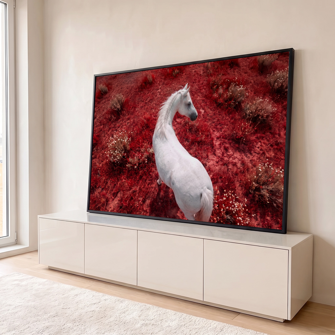 Quadro Decorativo Grande Cavalo Branco para Sala Vermelho | quadros decorativos para sala | cavalo branco visto de cima sobre campo de vegetação vermelha intensa | em Quadros para Sala | Porao dos Quadros