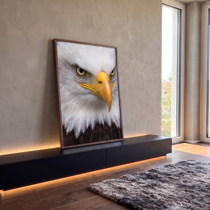 Quadro Decorativo Grande Águia Americana para Sala Branco | quadros decorativos para sala | retrato em close de águia de cabeça branca com olhar intenso e bico alaranjado | em Quadros para Sala | Porao dos Quadros