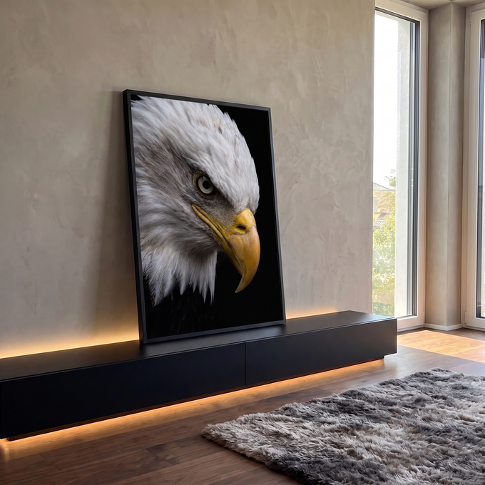 Close de águia-de-cabeça-branca com olhar feroz e bico amarelo sobre fundo preto, quadro decorativo