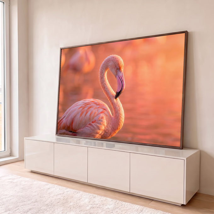 Flamingo rosa de pescoço curvado em lago com luz do entardecer e fundo desfocado, quadro decorativo