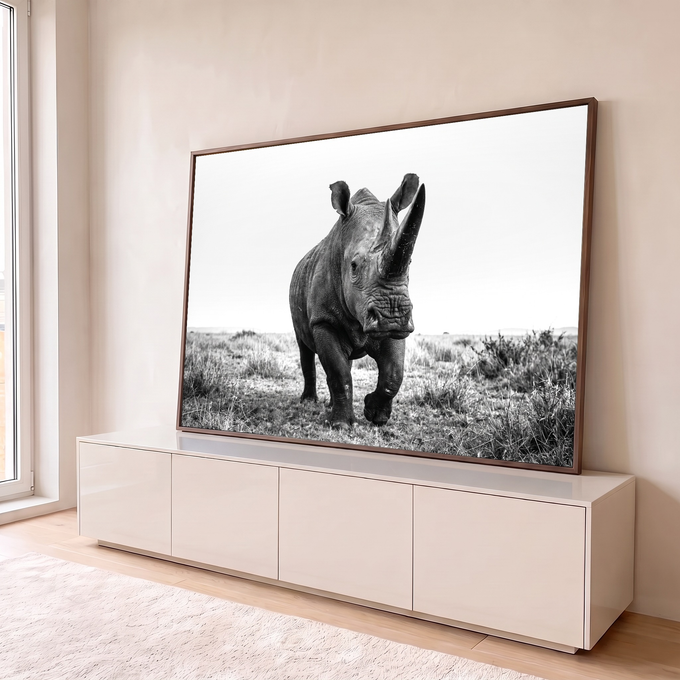 Rinoceronte caminhando de frente na savana em fotografia preto e branco, quadro decorativo