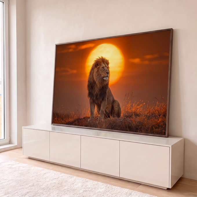 Leão de juba longa sentado no capim seco diante de um grande sol alaranjado na savana, quadro decorativo