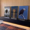 Quadro Decorativo Kit 3 Telas Águias e Lua para Sala Azul | quadros decorativos para sala | trio de telas com águias-de-cabeça-branca e lua cheia refletida no mar | em Quadros para Sala | Porao dos Quadros