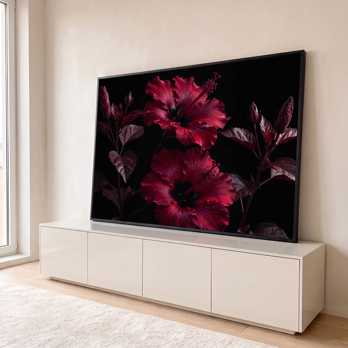Quadro Decorativo Grande Hibisco para Sala Vermelho | quadros decorativos para sala | duas flores de hibisco vermelho escuro com estames visíveis sobre fundo preto | em Quadros para Sala | Porao dos Quadros