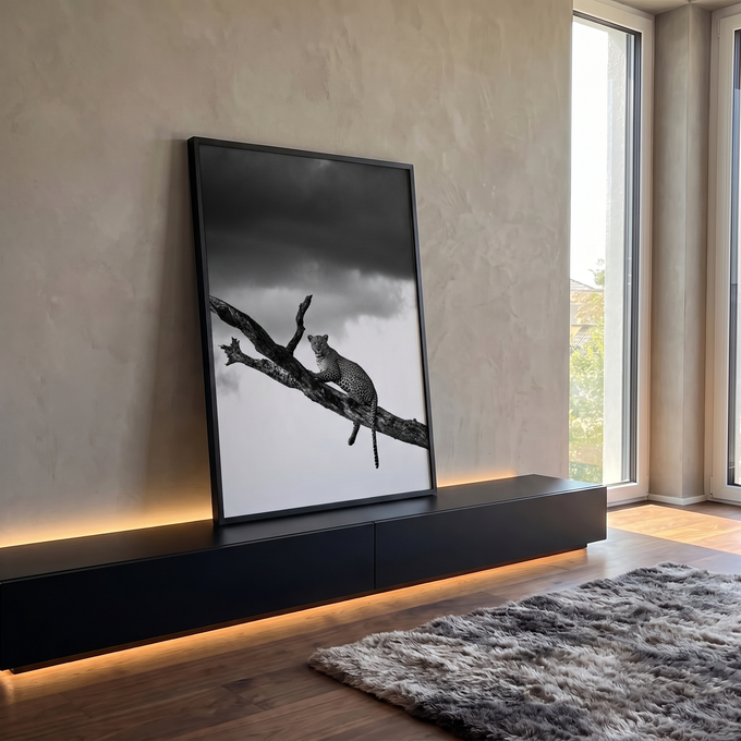 Leopardo em árvore seca olhando à frente sob céu de tempestade, fotografia preto e branco, quadro decorativo
