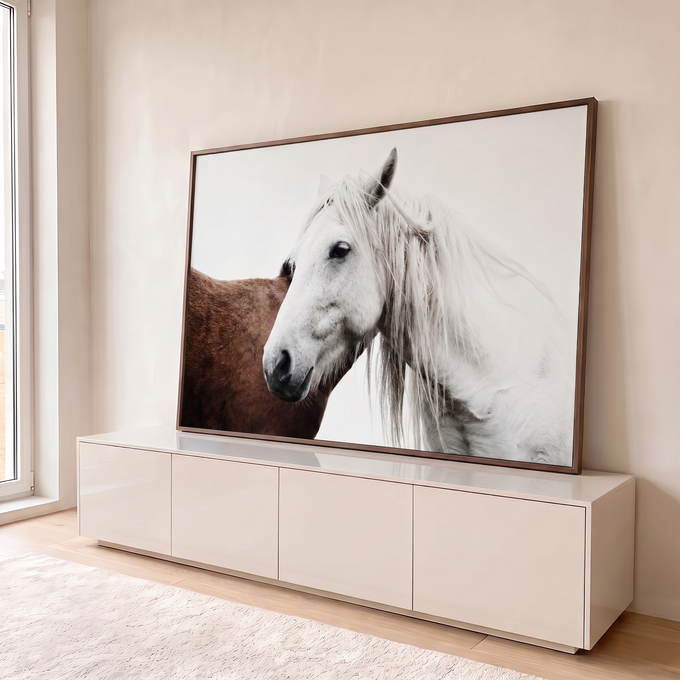 Cavalo branco de crina longa ao lado de cavalo castanho em fundo branco, fotografia quadro decorativo