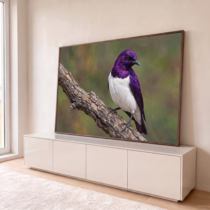 Pássaro de plumagem roxa iridescente e peito branco pousado em galho seco com fundo verde desfocado, quadro decorativo