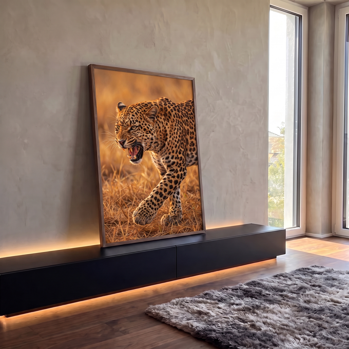Quadro Decorativo Grande Leopardo Rosnando Dourado para Sala | quadros decorativos para sala | leopardo rosnando em close caminhando sobre grama seca dourada | em Quadros para Sala | Porao dos Quadros