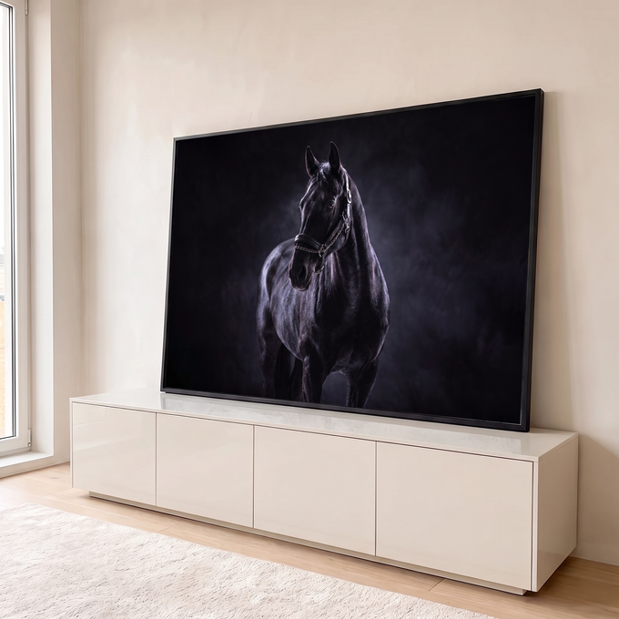 Cavalo negro com cabresto de corrente em retrato de estúdio sobre fundo escuro esfumaçado, quadro decorativo