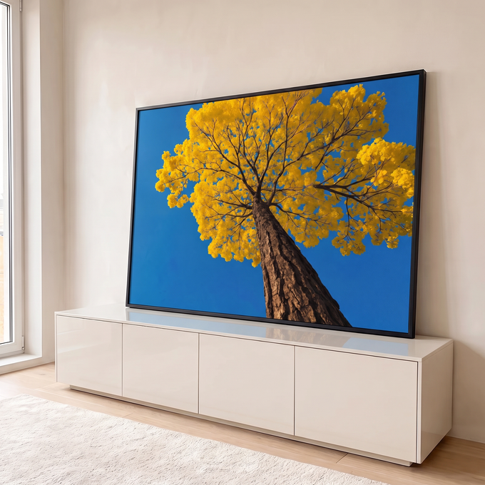 Quadro Decorativo Grande Ipê Florido para Sala Amarelo | quadros decorativos para sala | árvore florida em amarelo vista de baixo contra céu azul vibrante | em Quadros para Sala | Porao dos Quadros