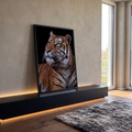 Quadro Decorativo Grande Tigre Olhar Fixo para Sala Laranja | quadros decorativos para sala | tigre em close com olhar fixo, bigodes brancos e fundo preto | em Quadros para Sala | Porao dos Quadros