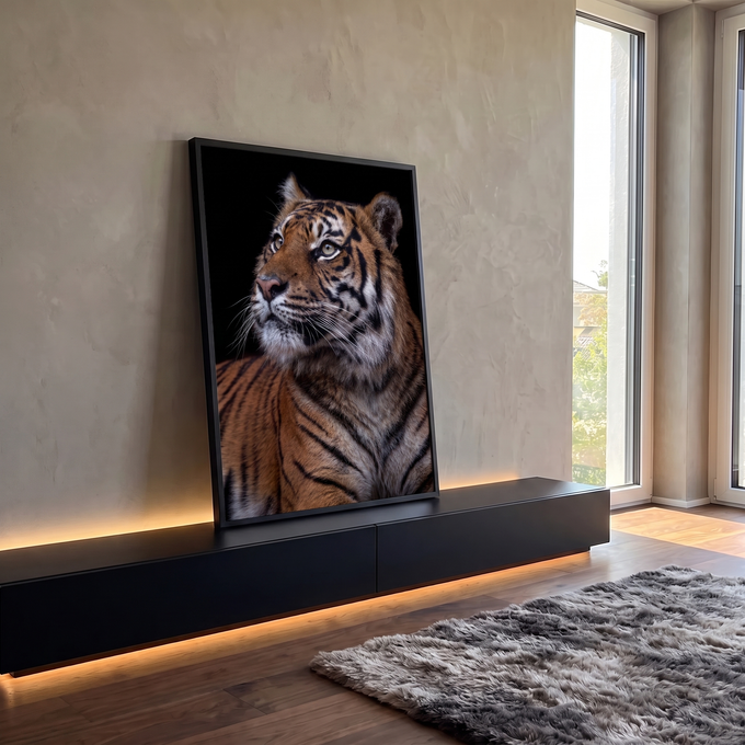 Quadro Decorativo Grande Tigre Olhar Fixo para Sala Laranja | quadros decorativos para sala | tigre em close com olhar fixo, bigodes brancos e fundo preto | em Quadros para Sala | Porao dos Quadros