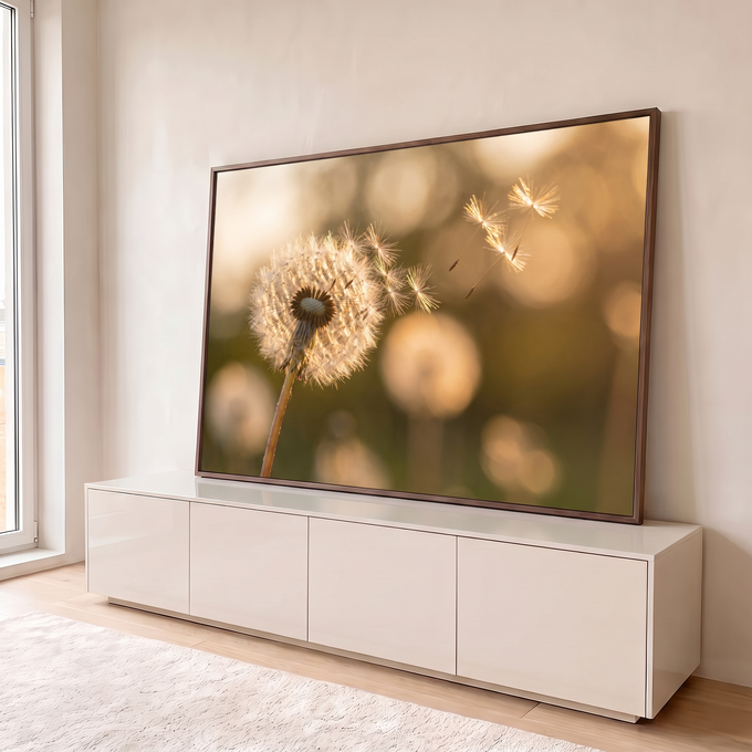 Quadro Decorativo Grande Flores Dente de Leão para Sala | quadros decorativos para sala | dente-de-leão branco soltando sementes ao vento com luz dourada e fundo desfocado | em Quadros para Sala | Porao dos Quadros