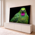 Pássaro tropical de penas verdes iridescentes e garganta magenta em fundo preto, quadro decorativo