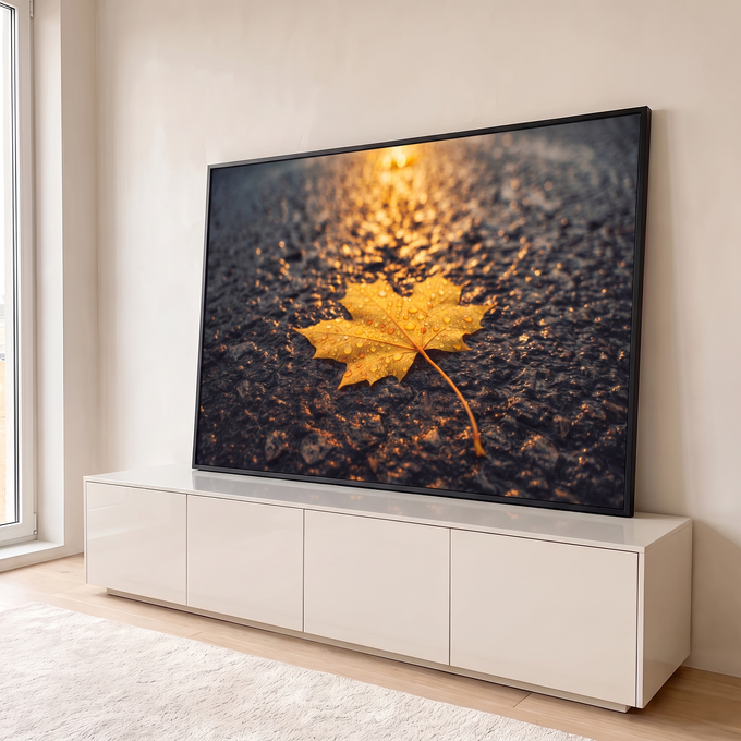 Folha de bordo amarela com gotas de chuva sobre asfalto molhado na luz dourada do entardecer, quadro decorativo