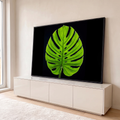 Folha de costela de adão verde em contraluz com nervuras e recortes sobre fundo preto, quadro decorativo