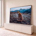 Raposa-vermelha sentada em campo pedregoso olhando para trás, montanhas azuis ao fundo, quadro decorativo