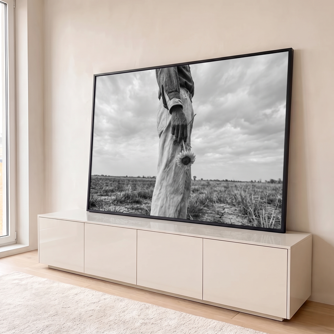 Quadro Decorativo Grande Girassol na Mão para Sala Preto | quadros decorativos para sala | mão segurando girassol murcho diante de campo seco em preto e branco | em Quadros para Sala | Porao dos Quadros