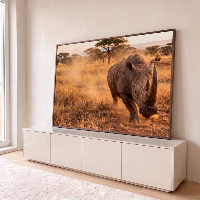 Rinoceronte avançando entre poeira dourada na savana africana, com leão ao fundo e acácias, quadro decorativo