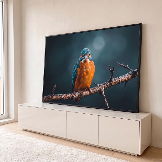 Quadro Decorativo Grande Martim-Pescador e Azul para Sala | quadros decorativos para sala | martim-pescador laranja e azul em galho molhado com fundo escuro desfocado | em Quadros para Sala | Porao dos Quadros