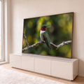 Beija-flor verde de garganta vermelha pousado em galho com líquen e fundo verde desfocado, quadro decorativo