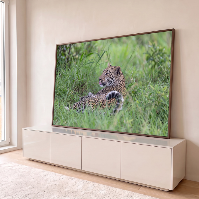Leopardo deitado na grama verde com língua de fora e cauda enrolada, fotografia, quadro decorativo