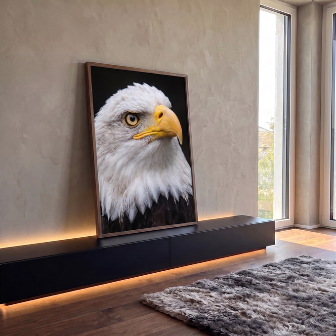 Águia-de-cabeça-branca em close, penas brancas, olho âmbar e bico amarelo, quadro decorativo
