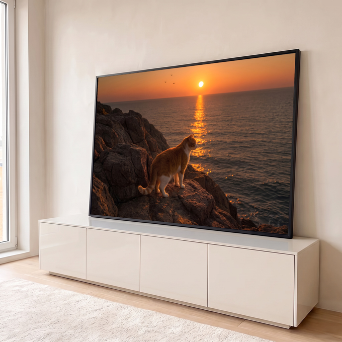 Gato laranja e branco sobre rochedo olhando o pôr do sol no mar com pássaros no céu, quadro decorativo
