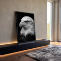 Quadro Decorativo Grande Águia Careca para Sala Preto | quadros decorativos para sala | retrato em preto e branco de águia careca com olhar fixo e bico em detalhe | em Quadros para Sala | Porao dos Quadros