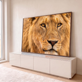 Quadro Decorativo Grande Rosto de Leão para Sala Dourado | quadros decorativos para sala | close de rosto de leão jovem com juba dourada e olhar fixo | em Quadros para Sala | Porao dos Quadros