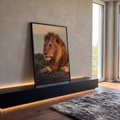 Quadro Decorativo Grande Leão Majestoso para Sala Laranja | quadros decorativos para sala | leão deitado com juba dourada iluminada pela luz do entardecer | em Quadros para Sala | Porao dos Quadros