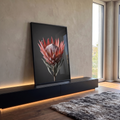 Quadro Decorativo Grande Flores Proteia para Sala Rosa | quadros decorativos para sala | close de flor de proteia rosa com centro texturizado sobre fundo cinza escuro | em Quadros para Sala | Porao dos Quadros