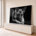 Quadro Decorativo Grande Cachorro Pastor para Sala Preto | quadros decorativos para sala | pastor-alemão deitado em preto e branco com reflexo no chão escuro | em Quadros para Sala | Porao dos Quadros
