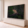 Quadro Decorativo Grande Onça Pintada Verde para Sala | quadros decorativos para sala | onça pintada sentada em galho escuro, cercada por mata verde densa | em Quadros para Sala | Porao dos Quadros