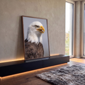 Águia-de-cabeça-branca em close, bico amarelo aberto e penas marrons sobre fundo cinza, quadro decorativo
