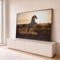Cavalo branco empinado levantando poeira em picadeiro de areia ao pôr do sol, quadro decorativo