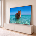 Cavalo alazão de cabresto laranja dentro do mar turquesa cristalino sob céu azul, quadro decorativo