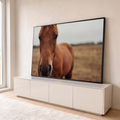 Fotografia em close de cavalo castanho olhando para a câmera em pasto seco desfocado, quadro decorativo